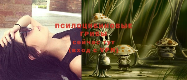 гидропоника Арсеньев